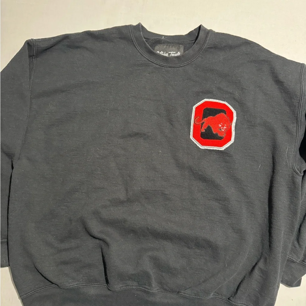 Arterius Terrell Black Pullover Sweatshirt 0, Panther logo, Men's 2X #1035‎